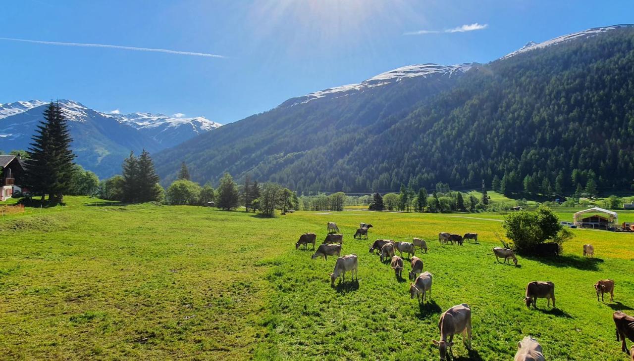 Chalet Breithorn- Perfect For Holiday With Amazing View! Obergesteln Exterior foto